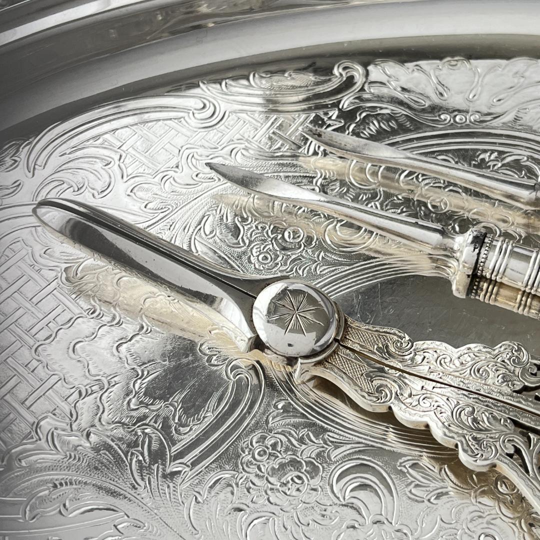 【英国】 グレープシザー / ナッツクラッカー / ピッカー【白蝶貝】