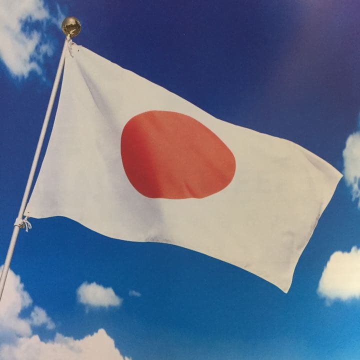 再値引き　国旗　日本　エクスラン+綿