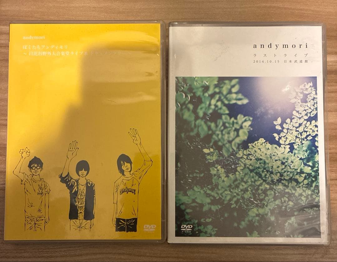 DVD2枚セット　andymori　ラストライブ 　日本武道館　アンディモリ