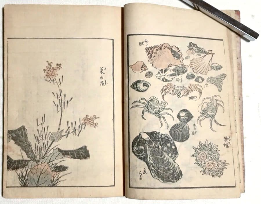 傳神開手北斎画宛三編全（色摺版画本)い葛飾北斎画 江戸版（嘉永2年以降)