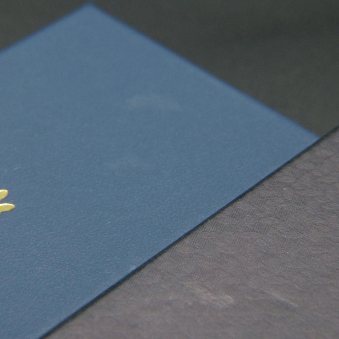 野原工芸 MP かりん 花梨　新型 シャープペンシル