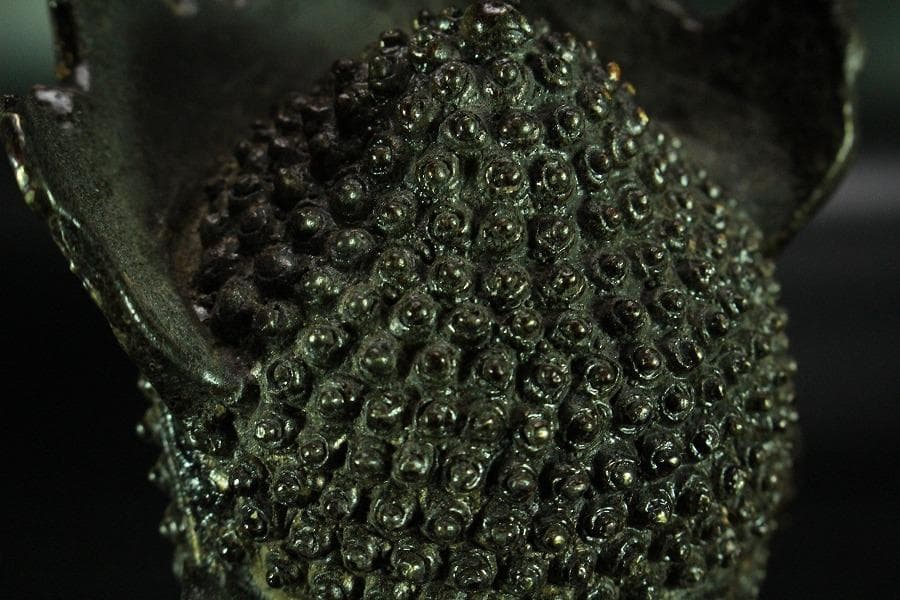 仏教美術 中国美術 仏像 古美術(K-LC975)