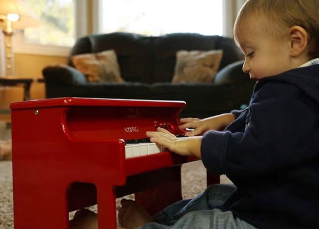 ☆未使用品！！ KORG tinyPIANO レッド ACアダプター付き コルグ