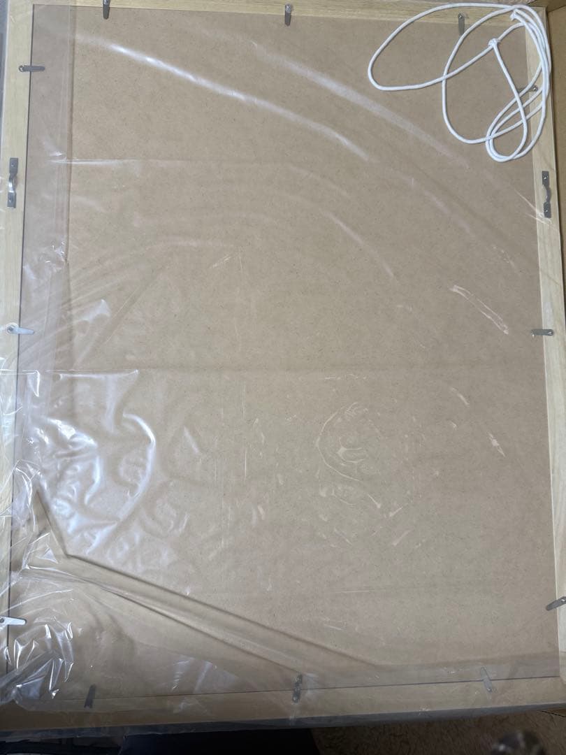 ジョジョの奇妙な冒険　スティールボールラン　高級複製原画　第7部