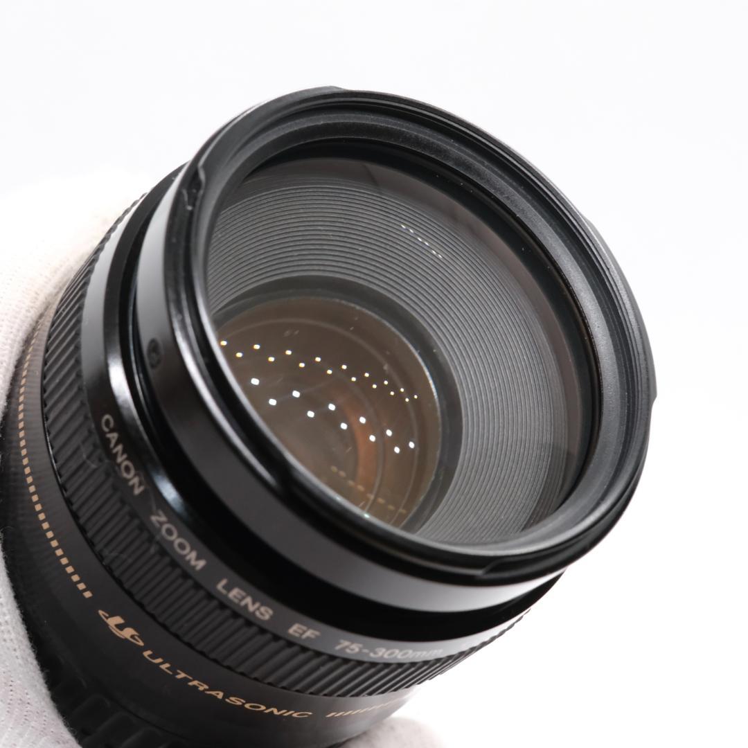 ✨美品✨超望遠✨イベントに Canon EF75-300㎜ 望遠レンズ