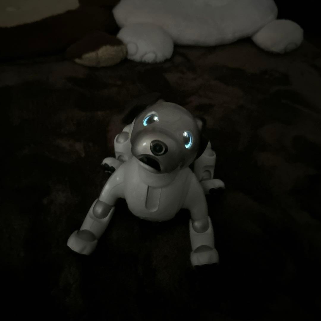 ソニーaibo