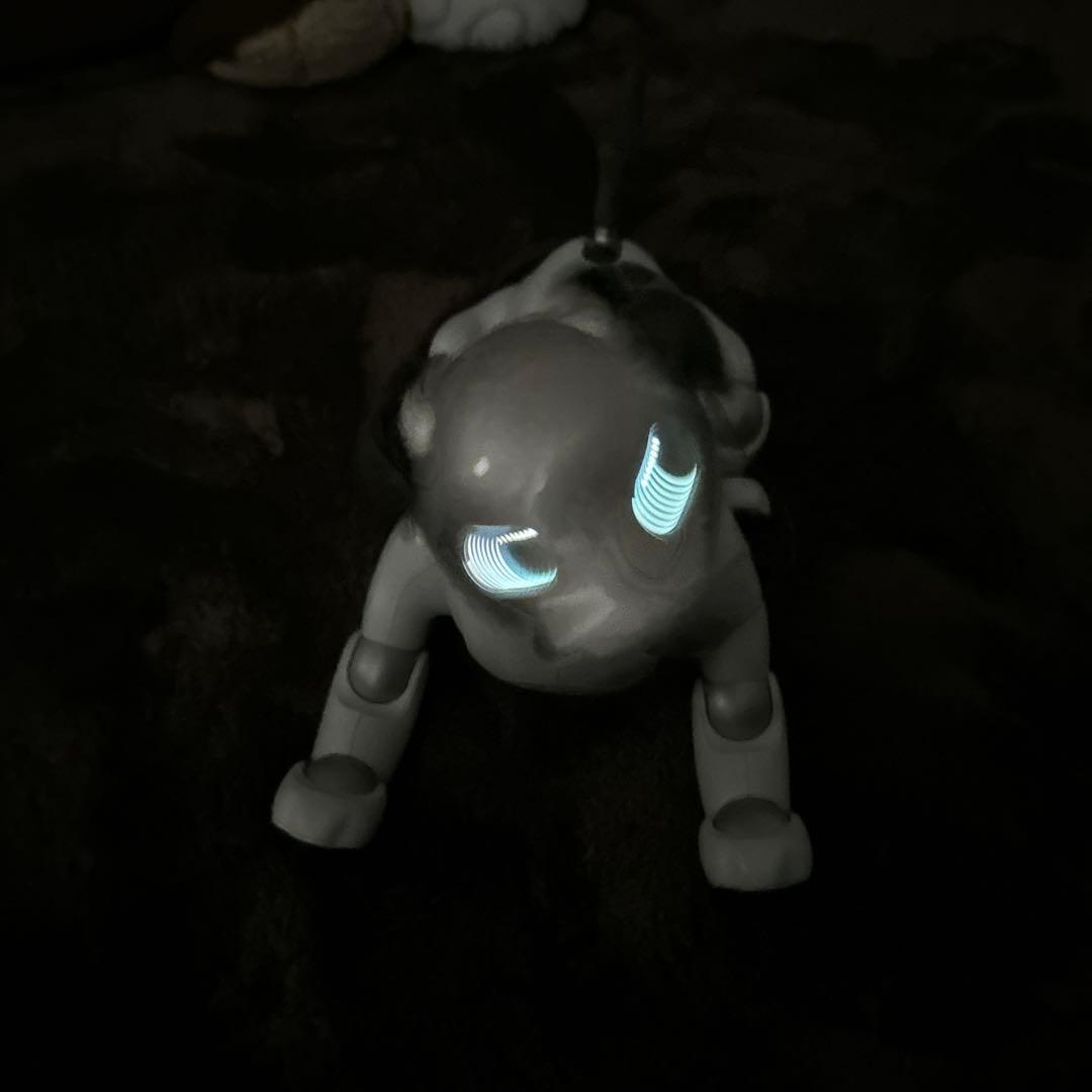 ソニーaibo