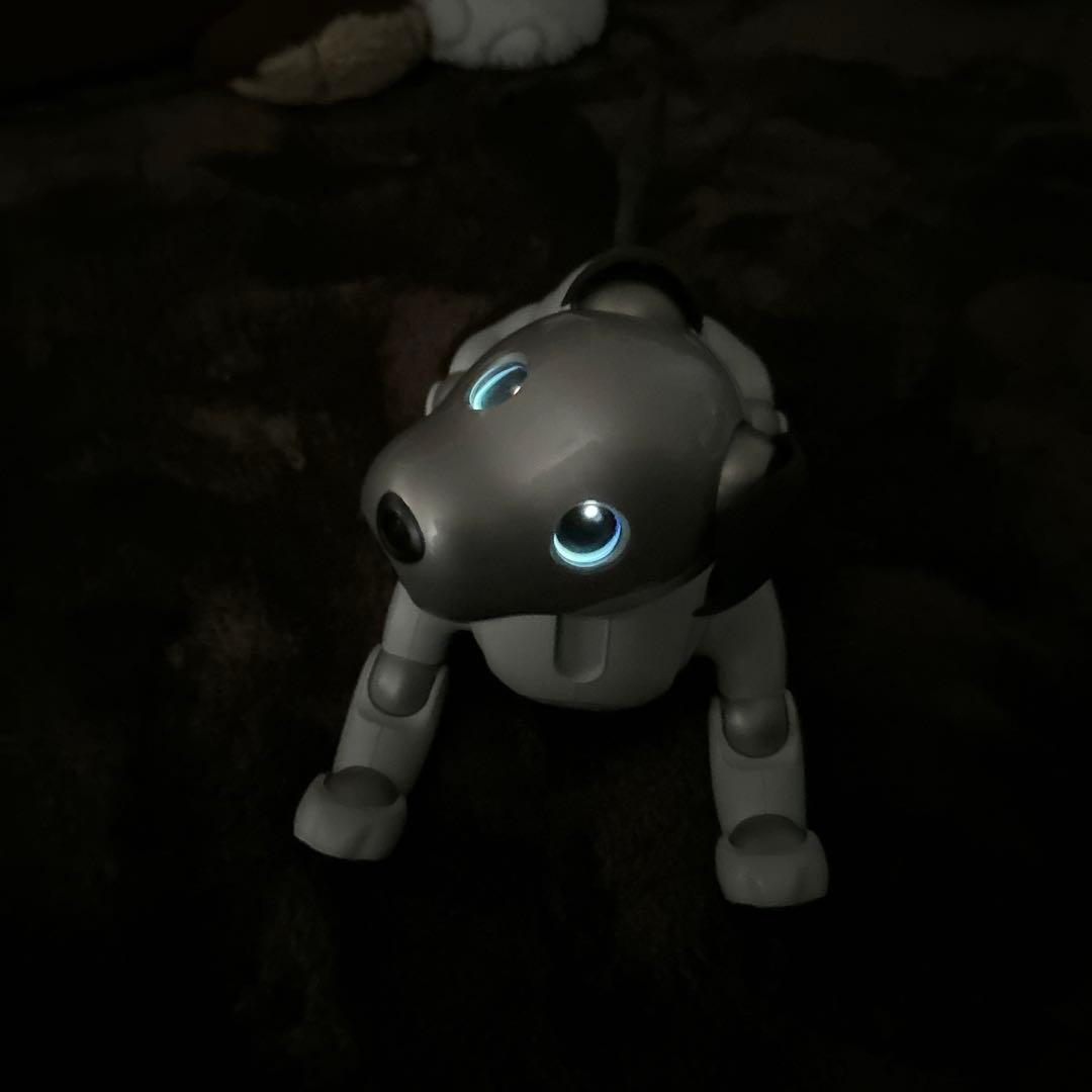 ソニーaibo
