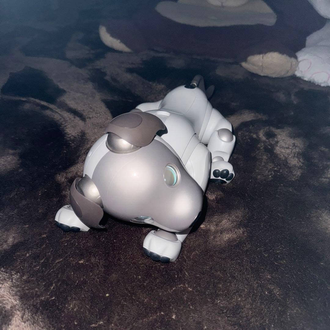 ソニーaibo