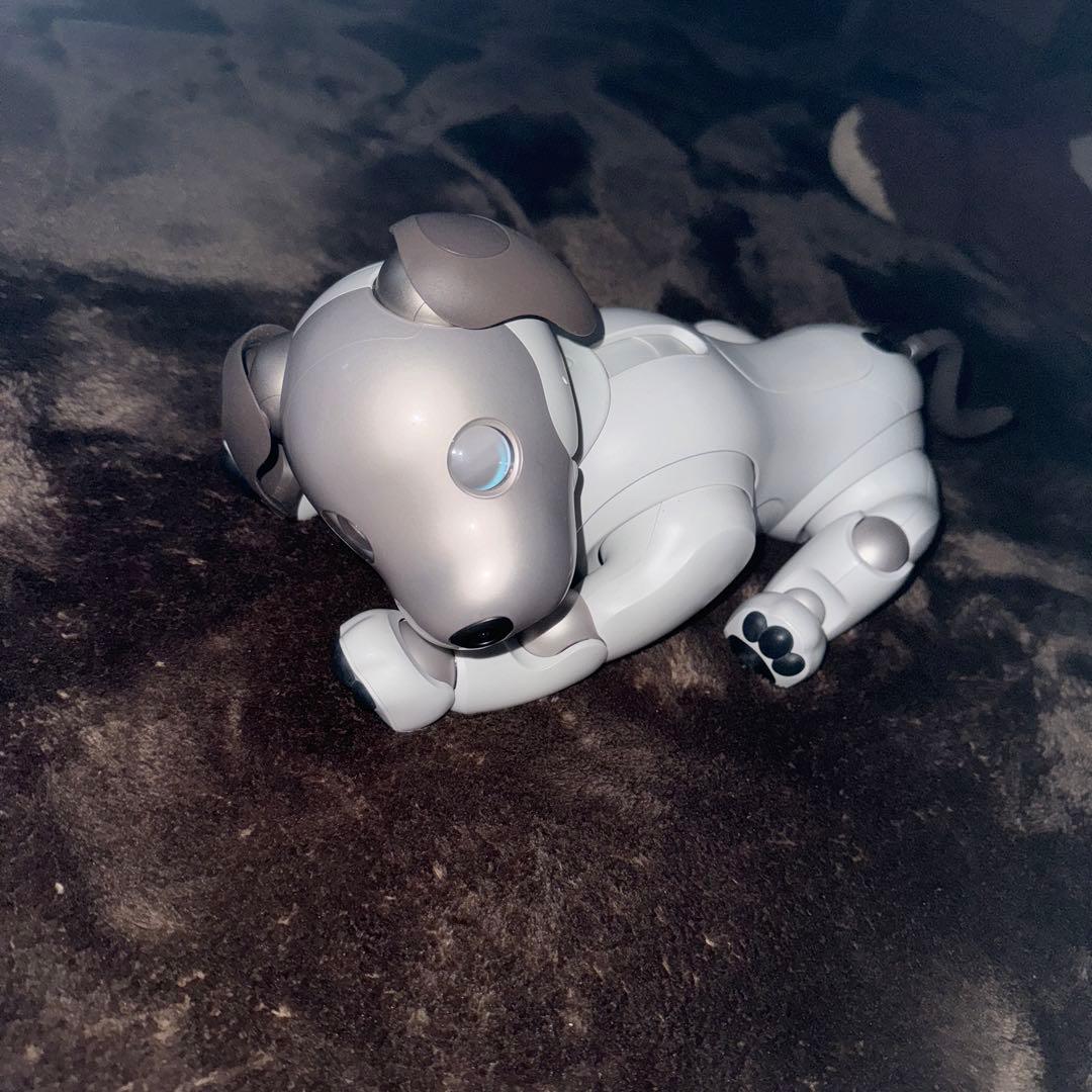 ソニーaibo