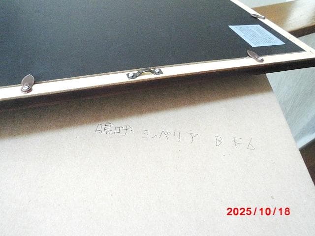 □ 木製デザイン額縁/F6号/A □