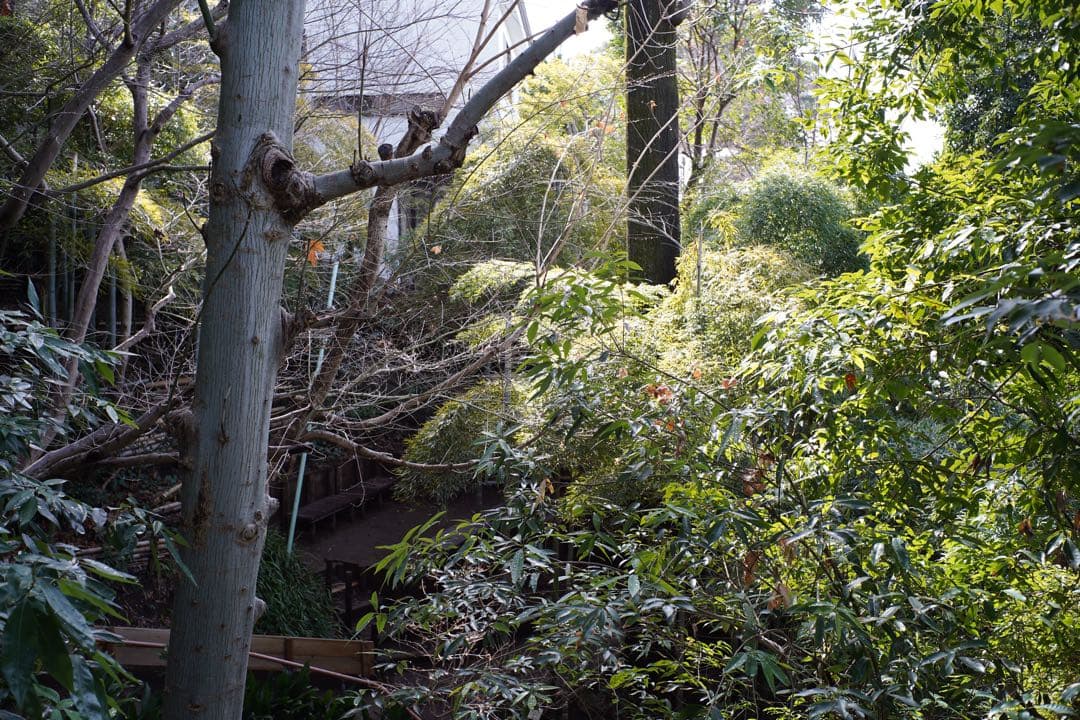 ライカ ズミクロン 35mm 7枚玉 OH済み Leica Summicron