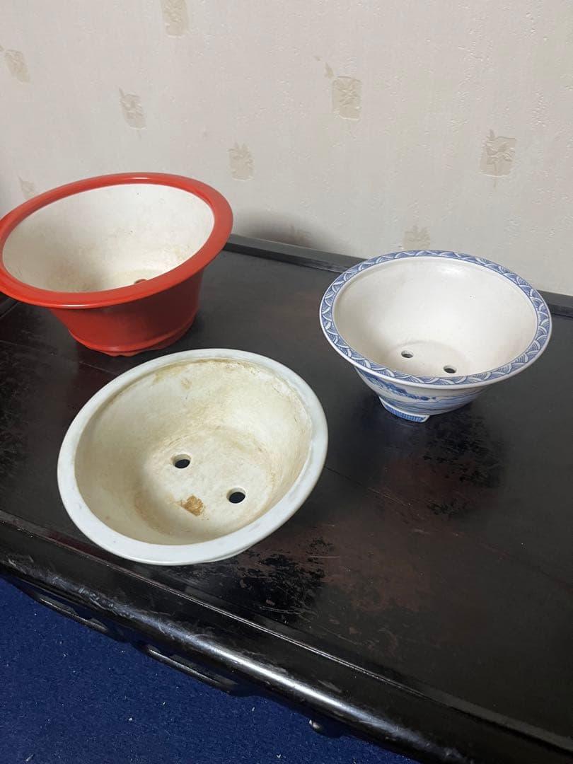 380 盆栽　盆栽鉢　植木鉢　中国鉢　3鉢