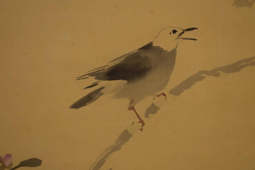 真作/池上秀畝/山茶花に小禽図/桐共箱付/布袋屋掛軸HI-751