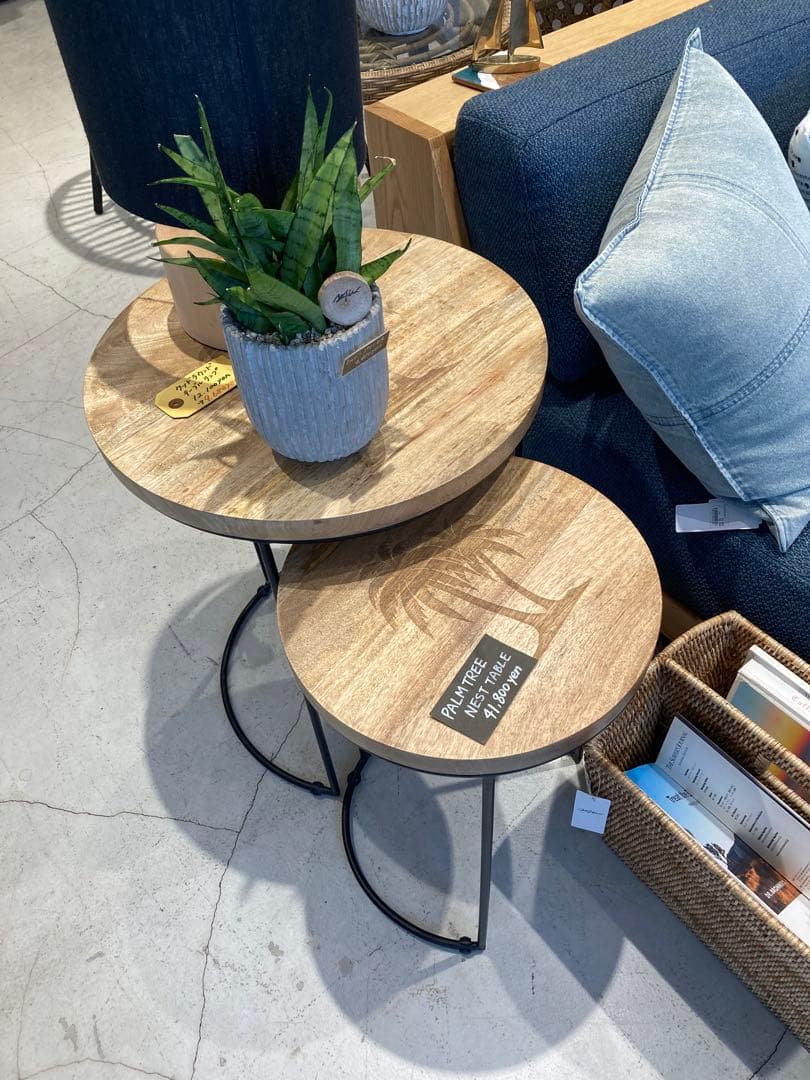 WTW ダブルティー　パームツリーネストテーブル☆