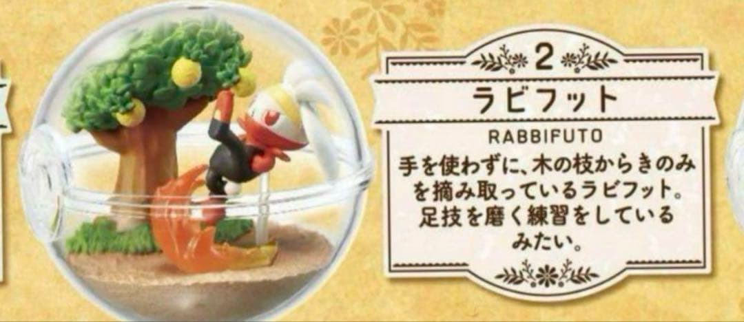 リーメント ポケモンテラリウムコレクション　EX　ガラル地方編　２　　ラビフット