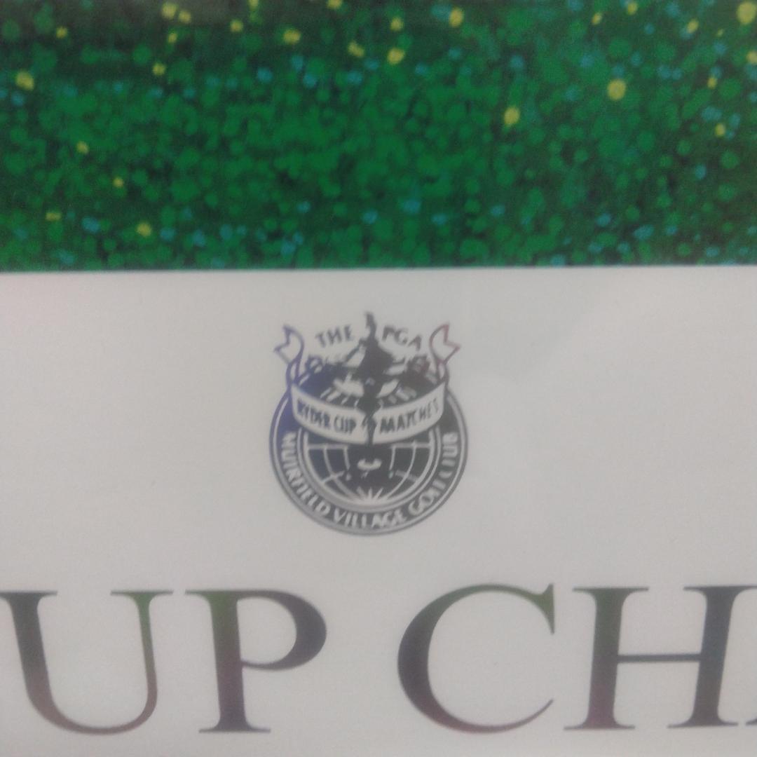 ヒロ・ヤマガタ　ライダーカップチャンピオンシップ　中古　大判額装アートポスター