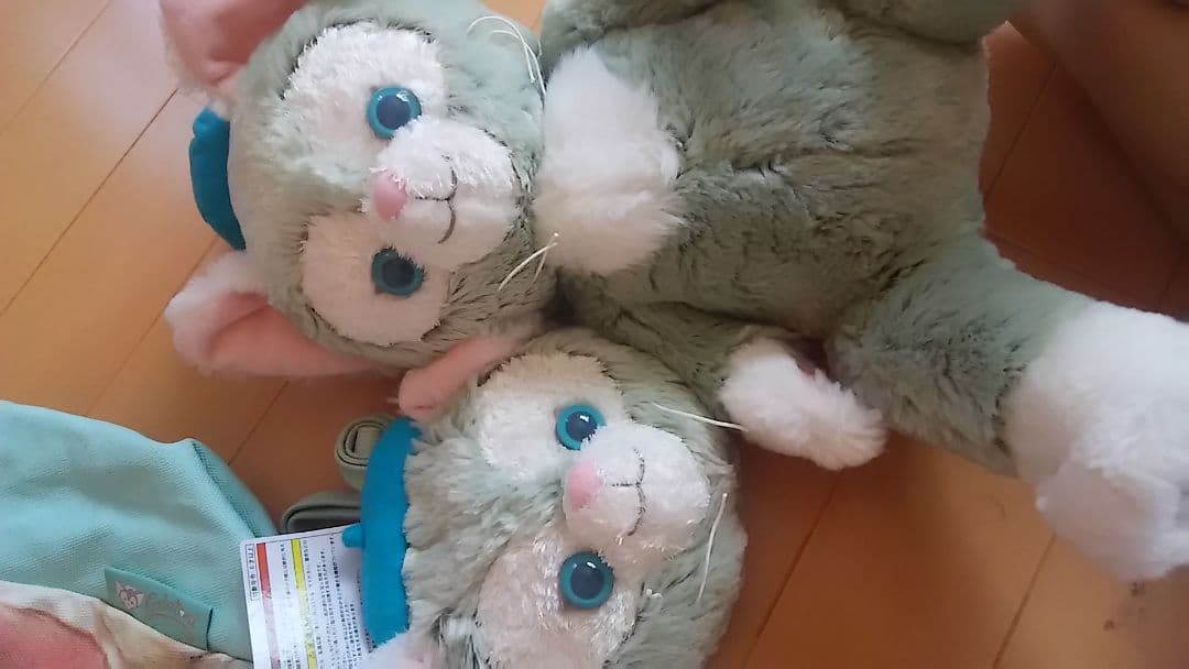 最終価格！ジェラトーニセット