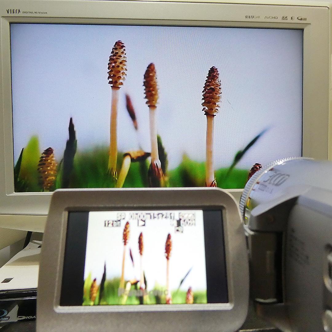 動作良好 パナソニック NV-GS500 MiniDVビデオDVDダビングに最適