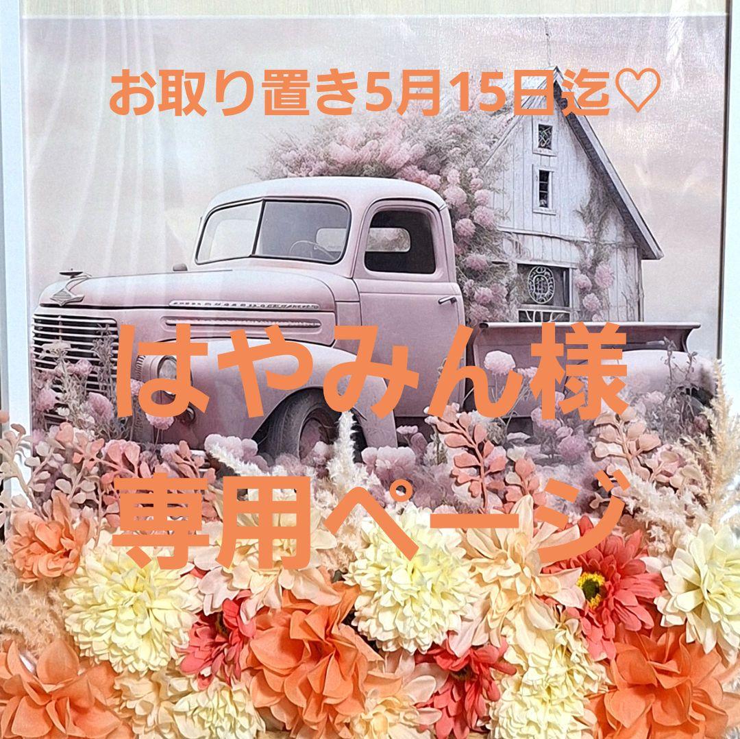 はやみんページ