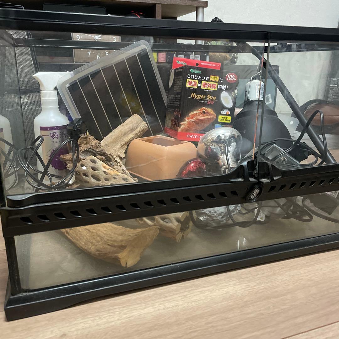 バラ売り可【引き取り限定】グラステラリウム6045 フトアゴ 飼育セット付き