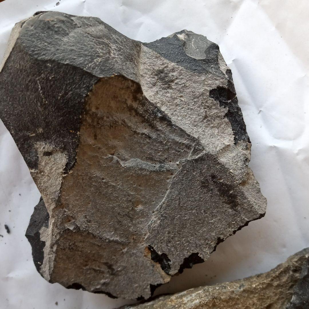 握り斧　石斧　尖頭器セット　剥片 石器　入門編　　191