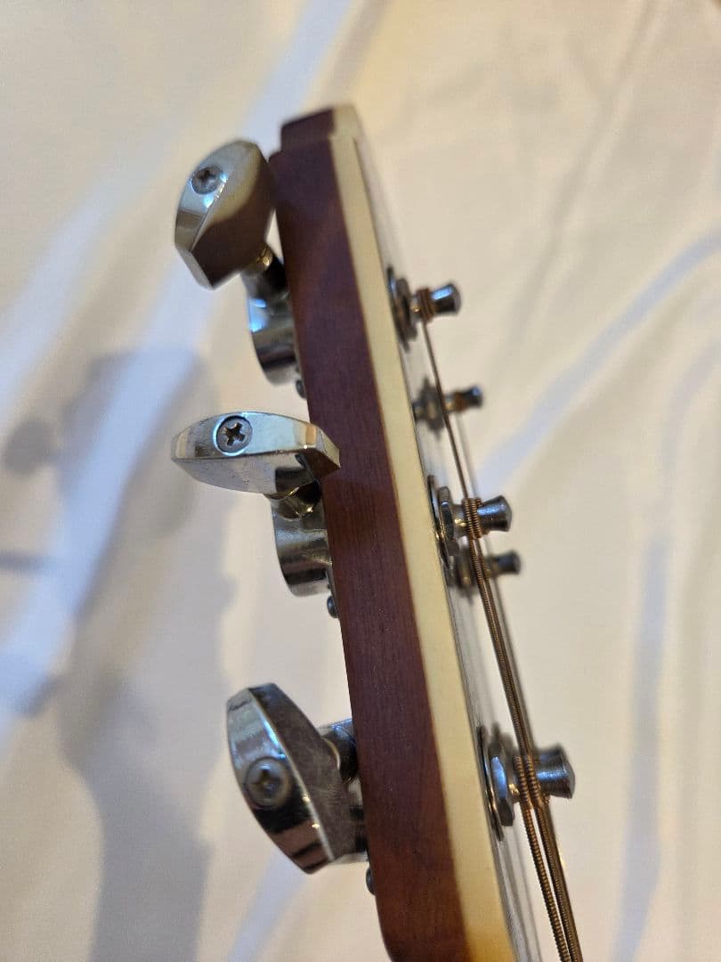 ARIA エレアコ　Elecord FET-STDRS