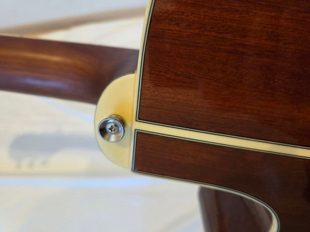 ARIA エレアコ　Elecord FET-STDRS