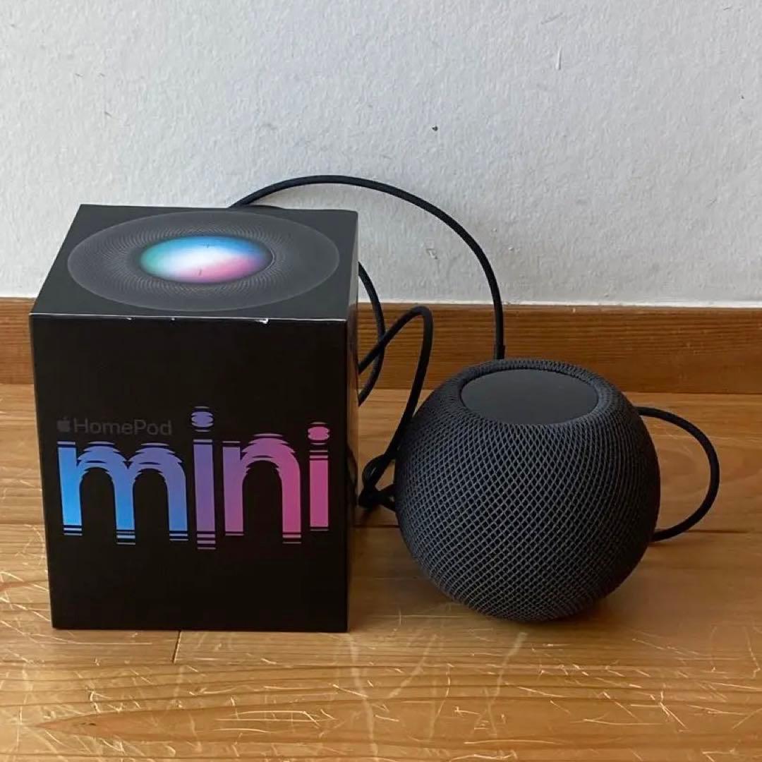 Apple Pod mini 動作品 スペースグレー