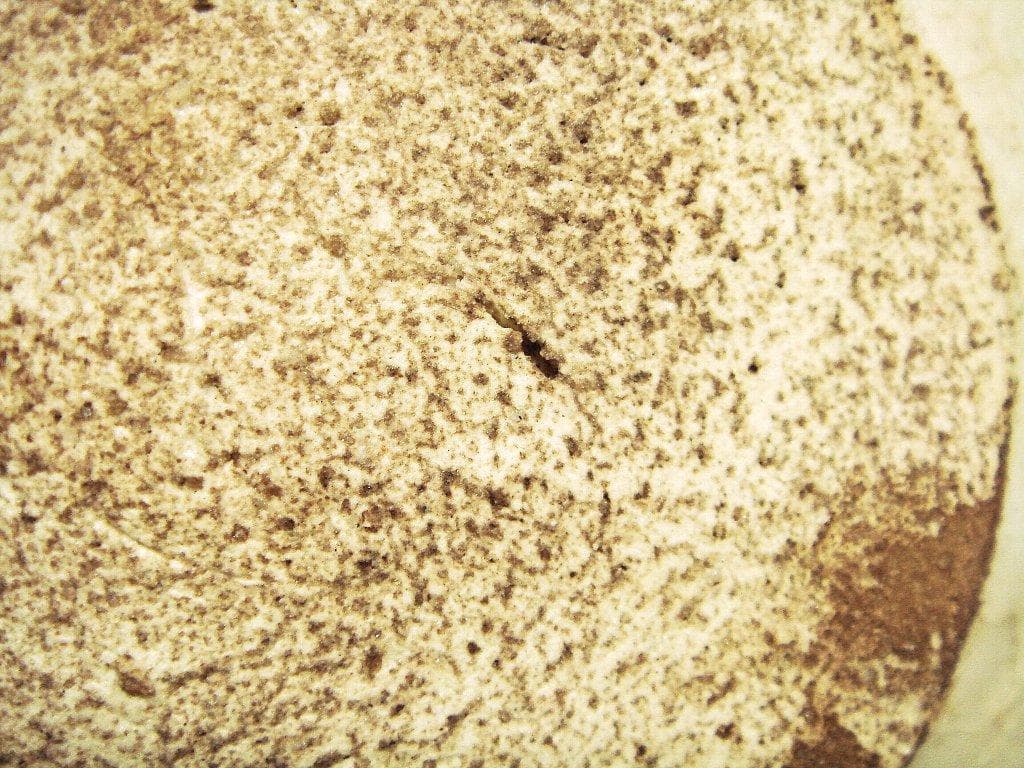 921『馬の目 豆皿手塩皿 ５枚』　/骨董品 古美術 古道具 アンティーク