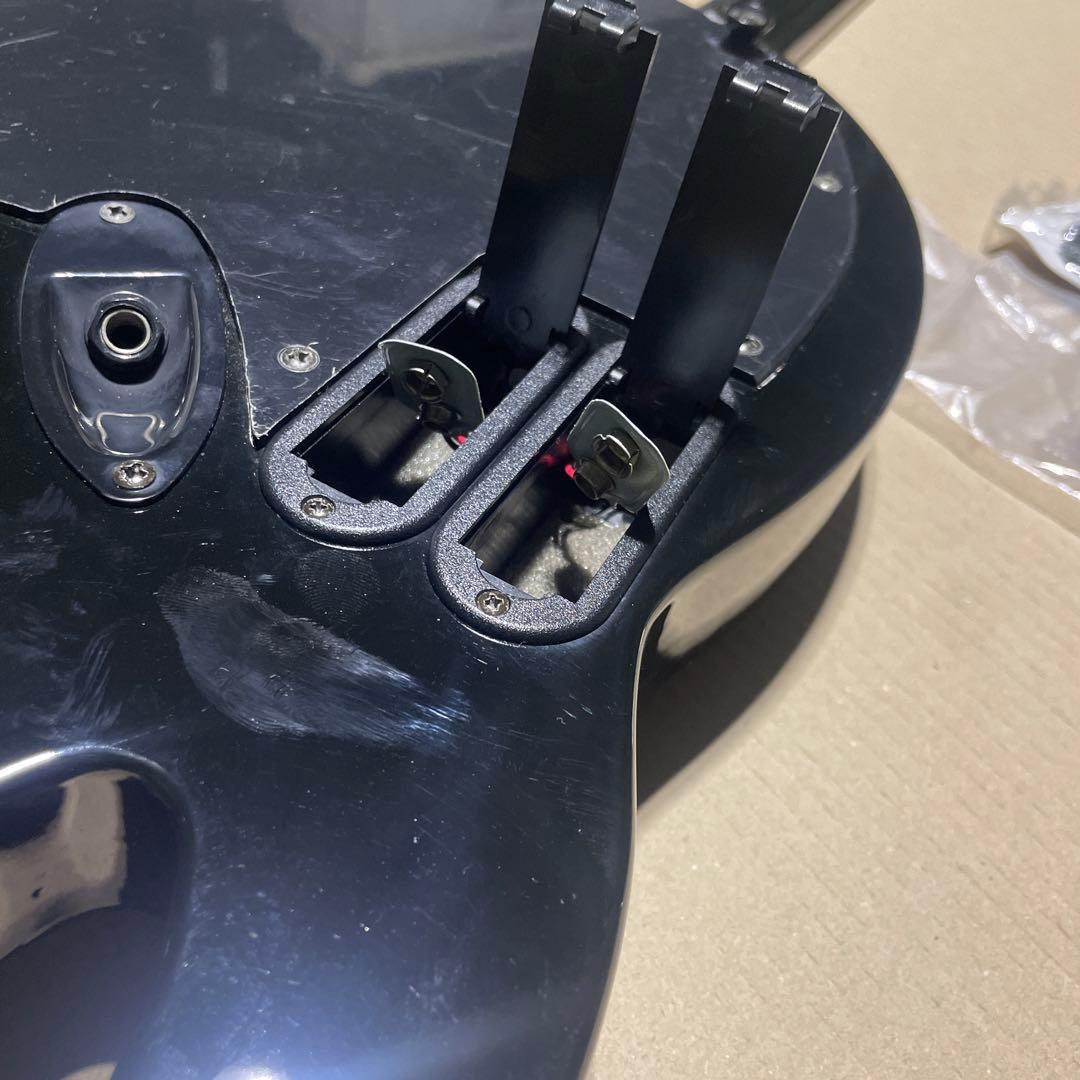 Zodiac works 　プチブラックファイヤー