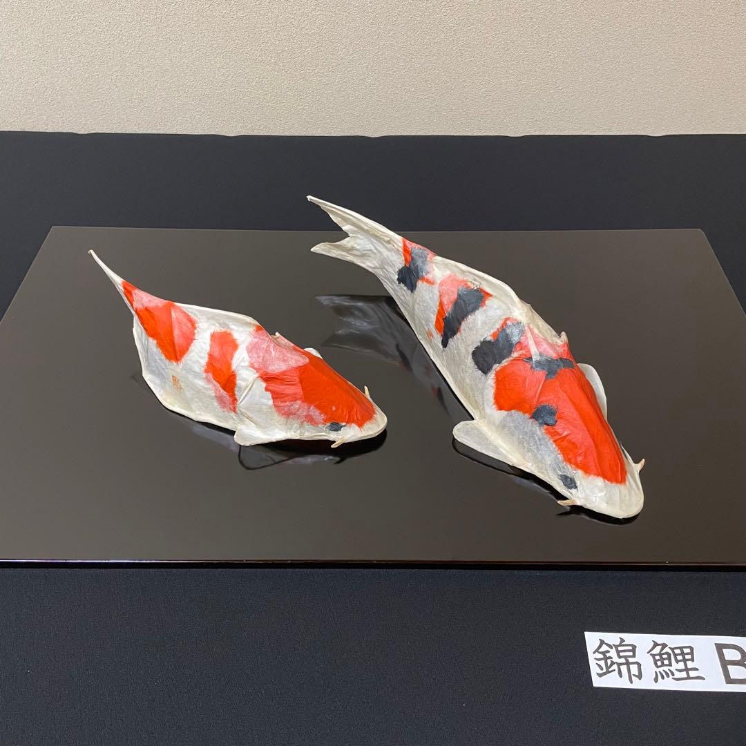 張子　錦鯉 B ツヤなし