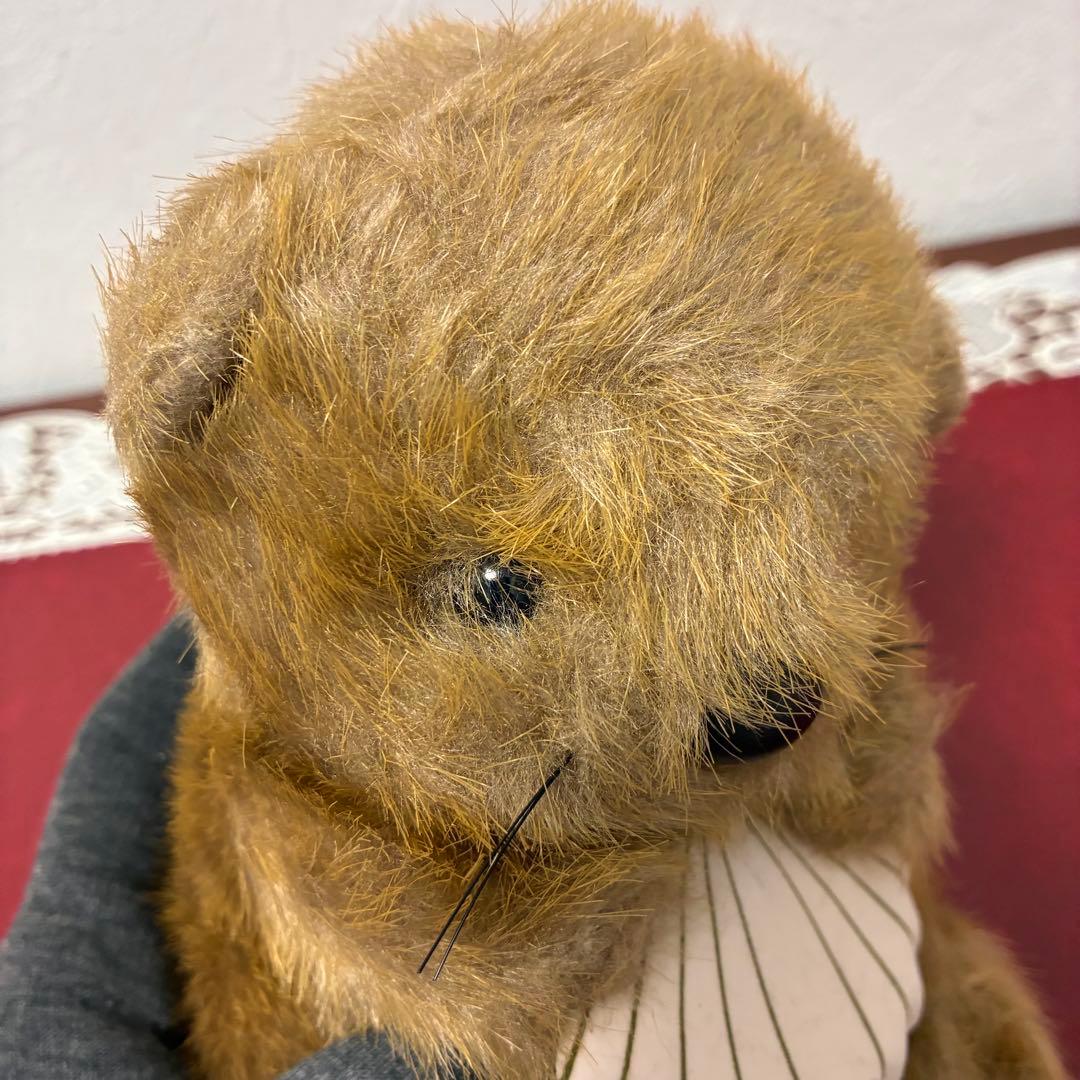 ファースト　らっこ　ラッコ　ぬいぐるみ　貝　FIRST