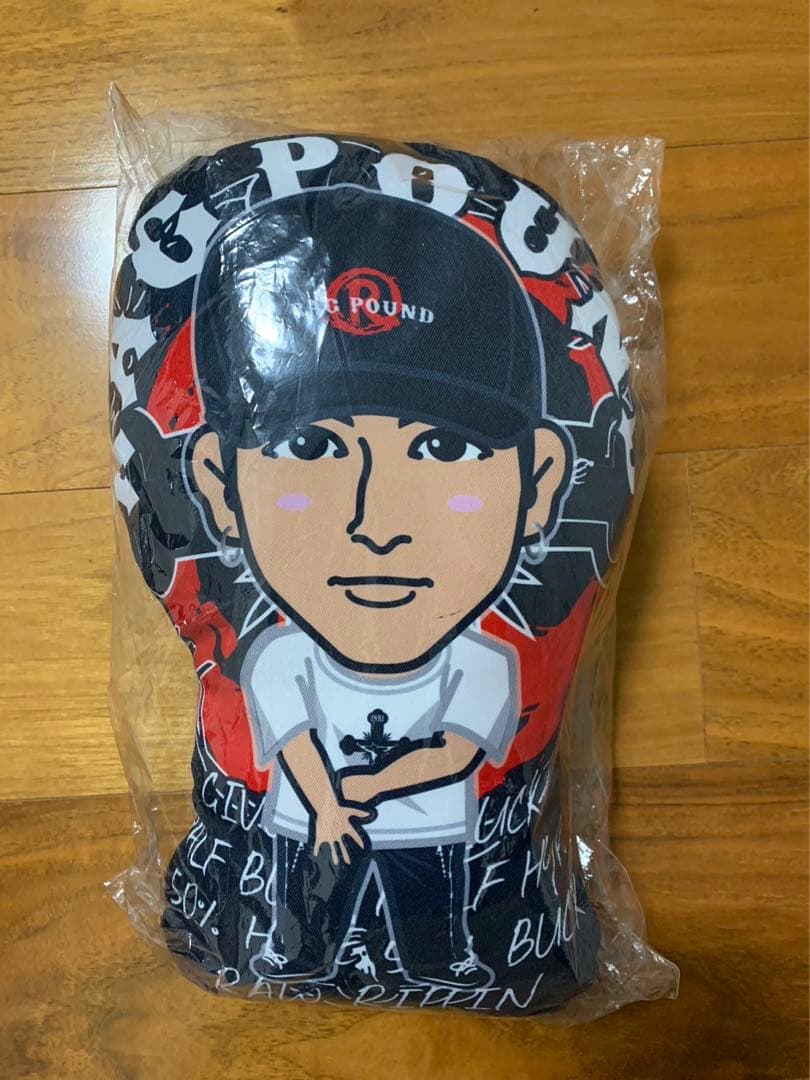 【出回りなし】長谷川慎 ラグパン クッション