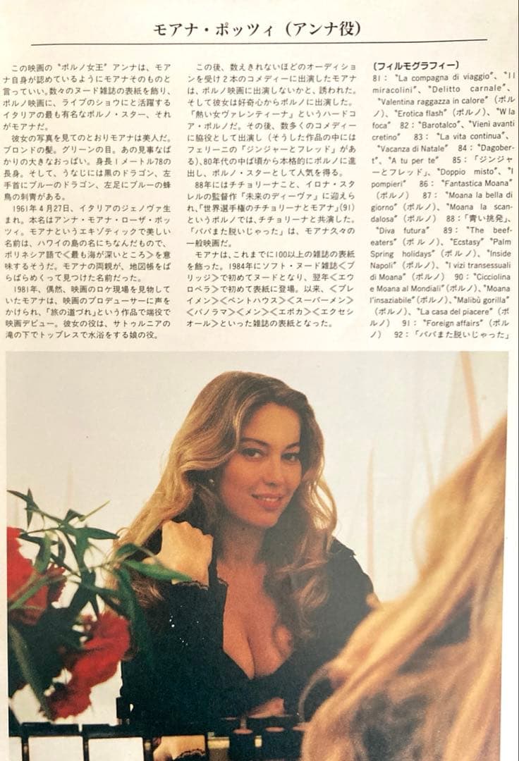 MOANAパパまたぬいじゃったモアナ・ポッツイ お宝発見MANIAX希少レア珍品