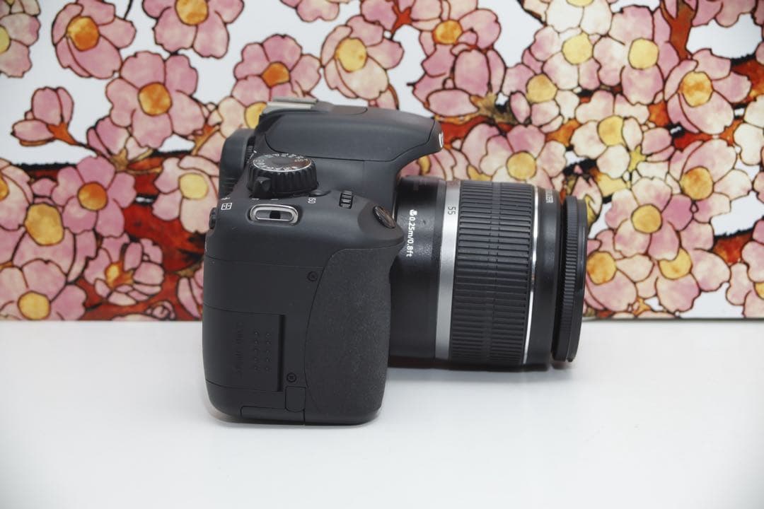 メメントモリ❤️初心者向け❤️キヤノン EOS kiss X4 レンズセット❤️