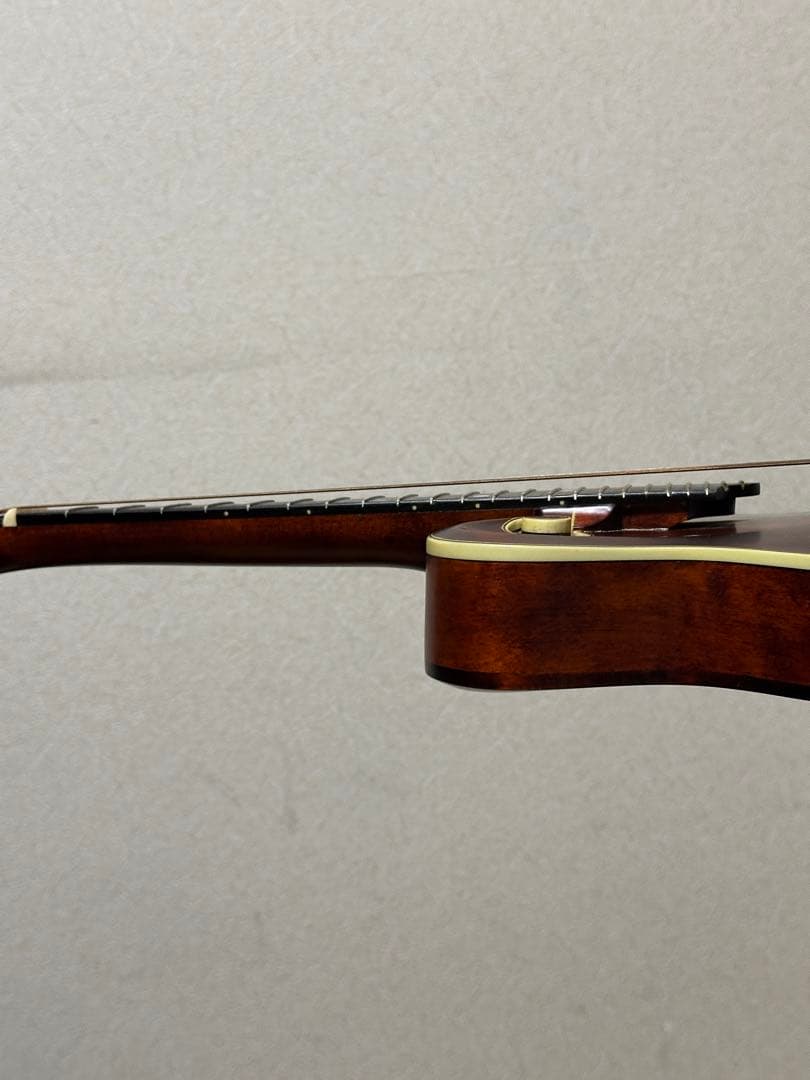 弦楽器 Eastman MD315/Antique Red