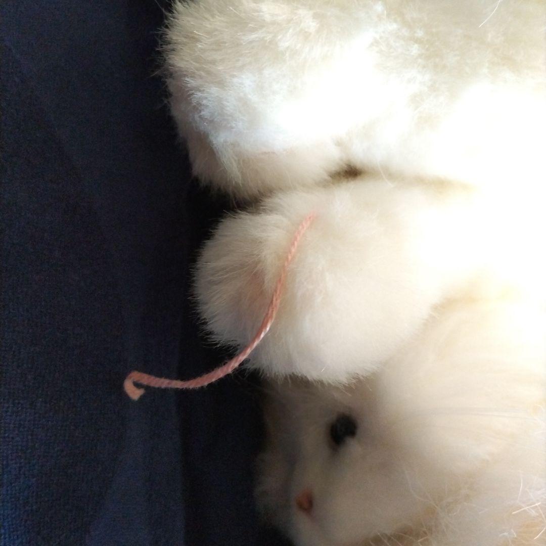 ペルシャM.Sサイズ　猫のぬいぐるみセット　約30年前の物です。