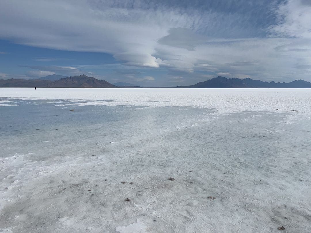 ヒナ　ニュースキン製品