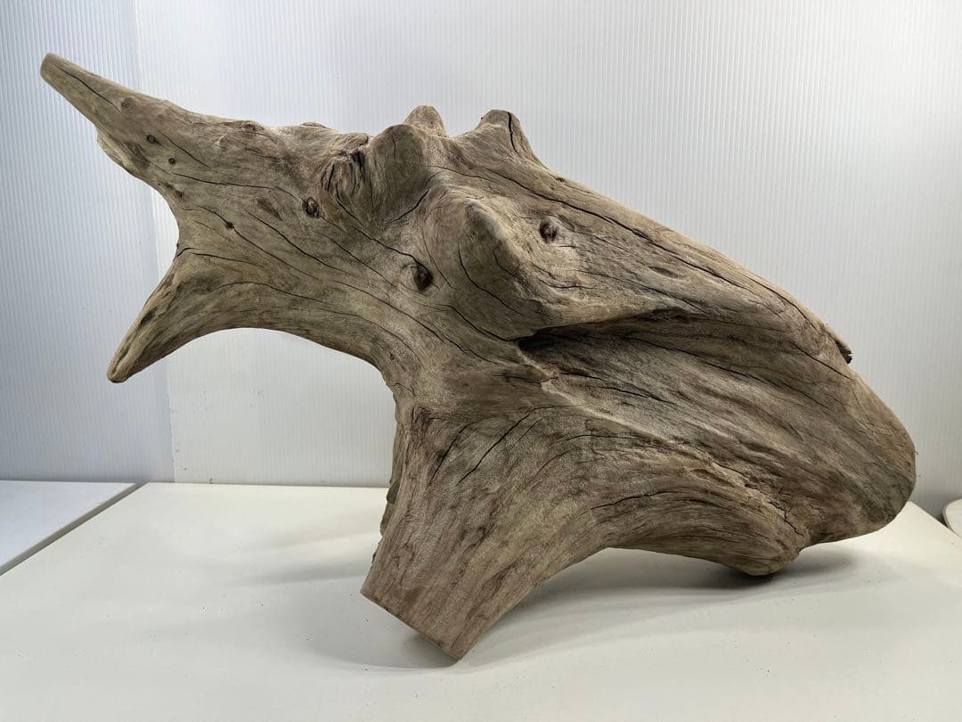 V68特大流木 アク抜き済み流木 爬虫類シェルター 登り木 インテリア 生け花