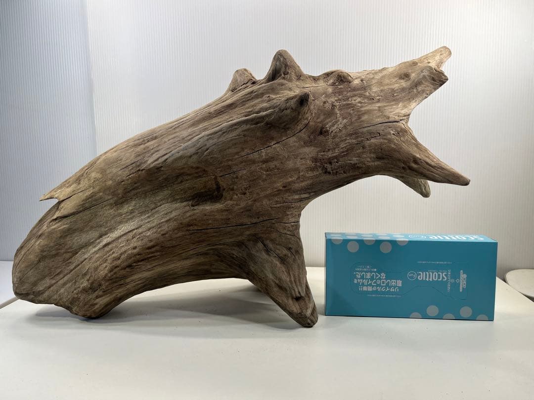 V68特大流木 アク抜き済み流木 爬虫類シェルター 登り木 インテリア 生け花