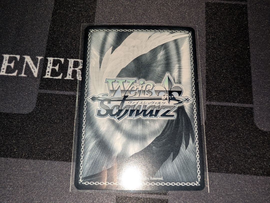 ヴァイスシュヴァルツ 対策委員会 ホシノ SP WS ブルーアーカイブ