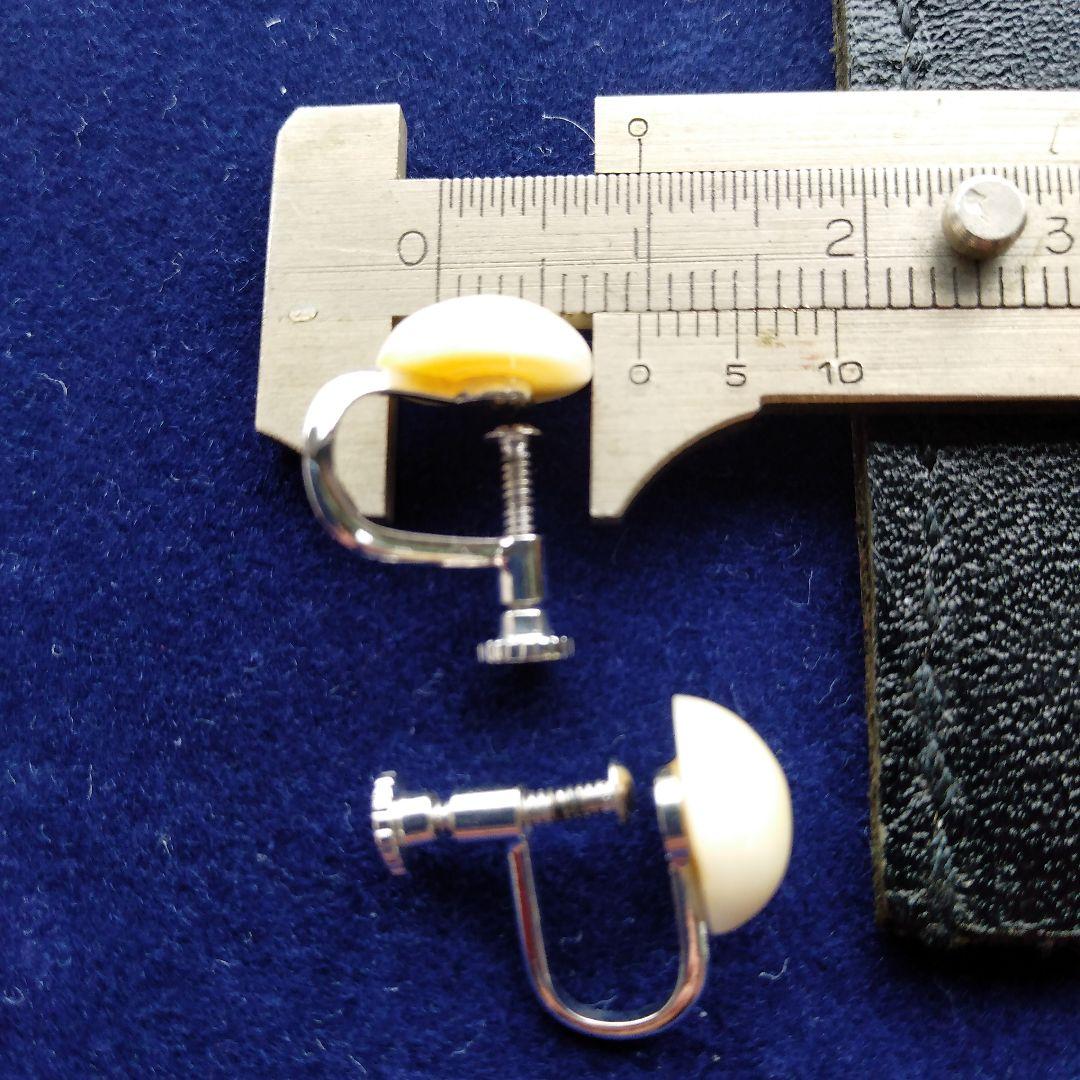 鯨歯　マッコウクジラ　イヤリング＆ピアス