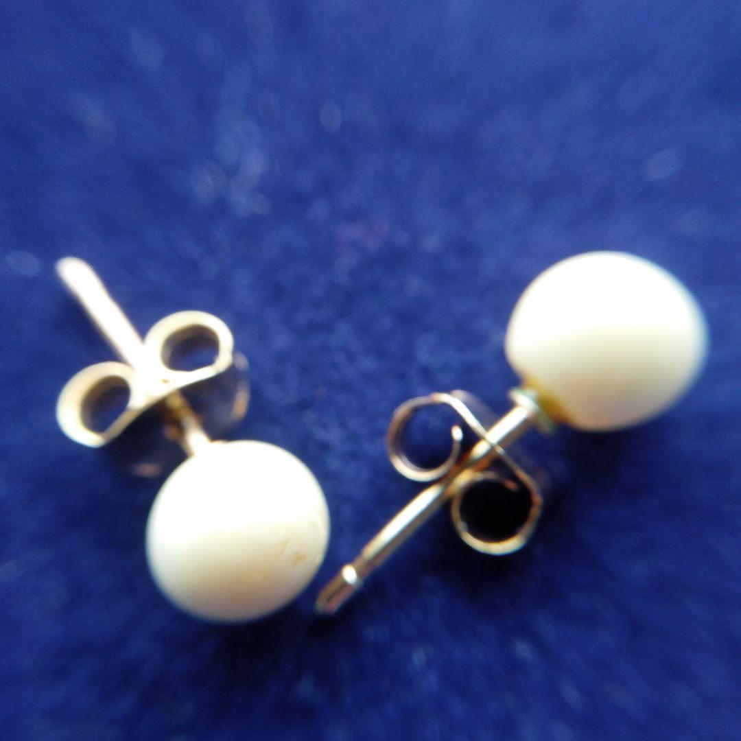 鯨歯　マッコウクジラ　イヤリング＆ピアス