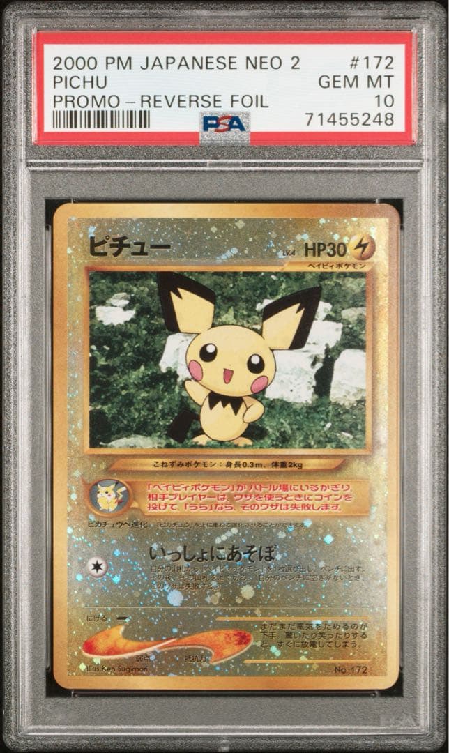 ピチュー_プレミアムファイル2 PROMO 第2世代（★neo・★VS・★we…