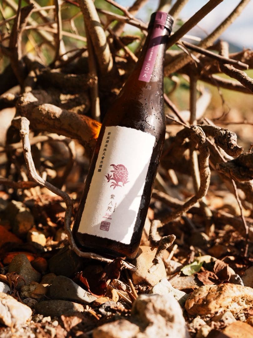 新政　新政酒造　紫八咫　日本酒720ml