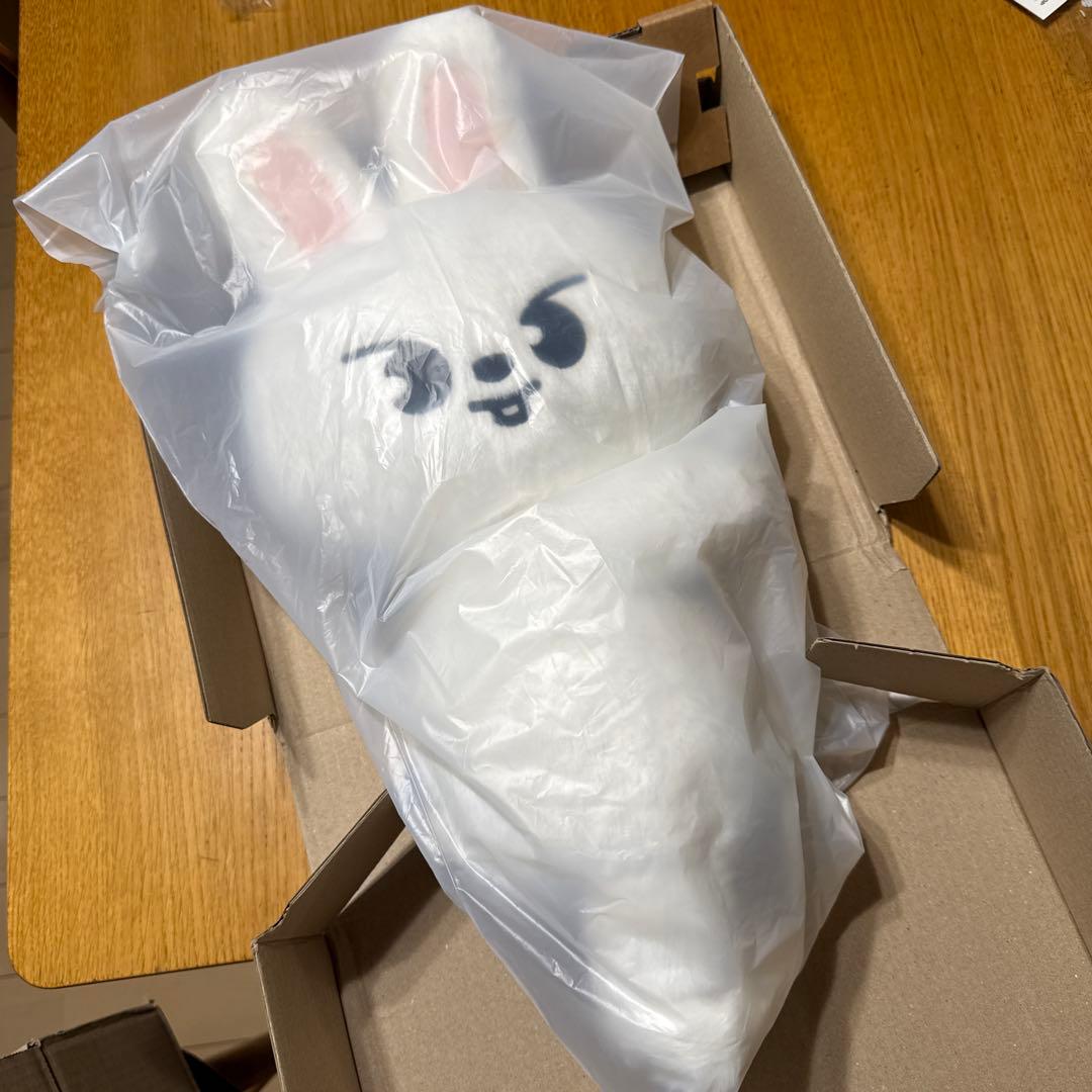 straykids celebrATE プラッシュバッグ リノ