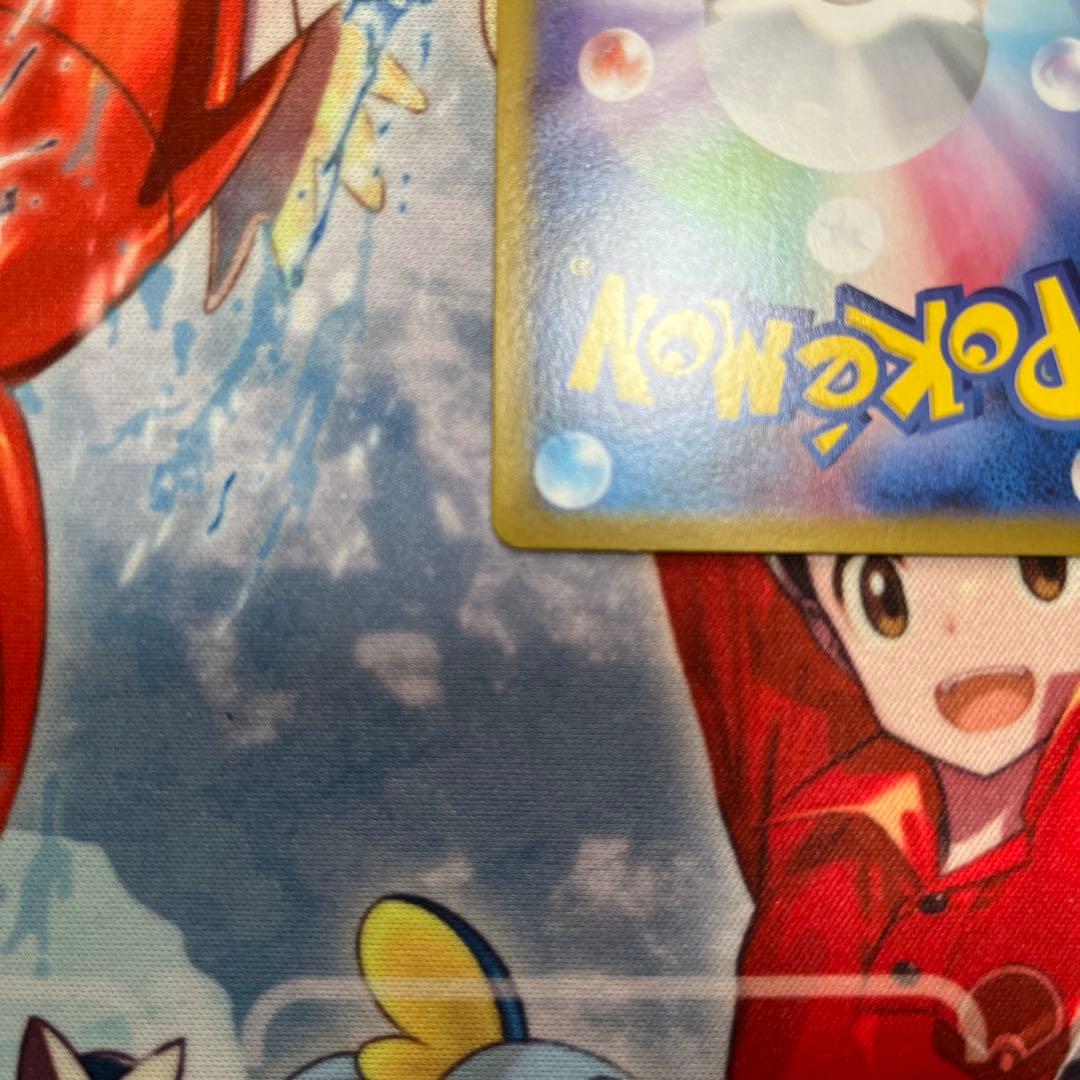 【極美品】ブラッキーex SAR SV8a テラスタルフェスex 217/187