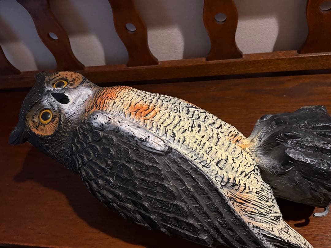 フクロウ・カラス(3)デコイセット