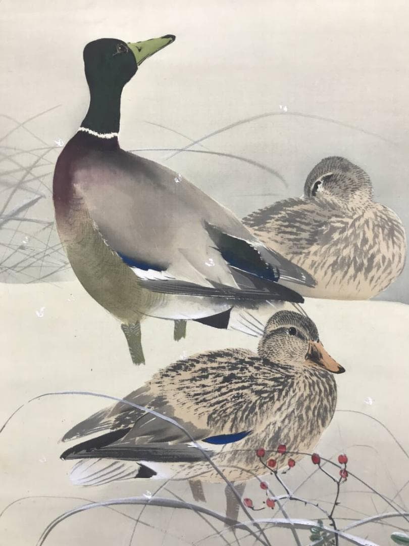 真作/今井景樹/雪中鴨図/加茂図/カモ図/花鳥図/掛軸/名家伝来/AH-707